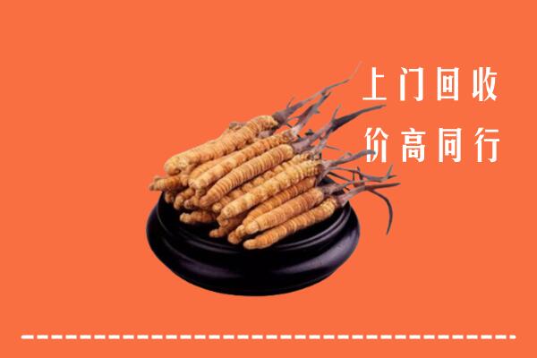 高价求购：牡丹江市宁安回收散虫草