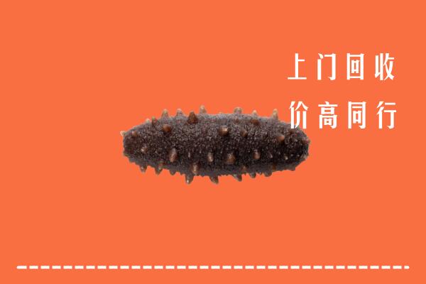 牡丹江市宁安回收海参