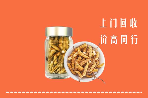 牡丹江市宁安回收冬虫夏草
